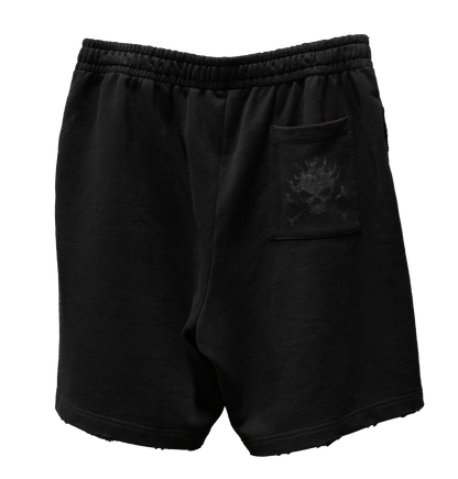 SOLAR SHORTZ